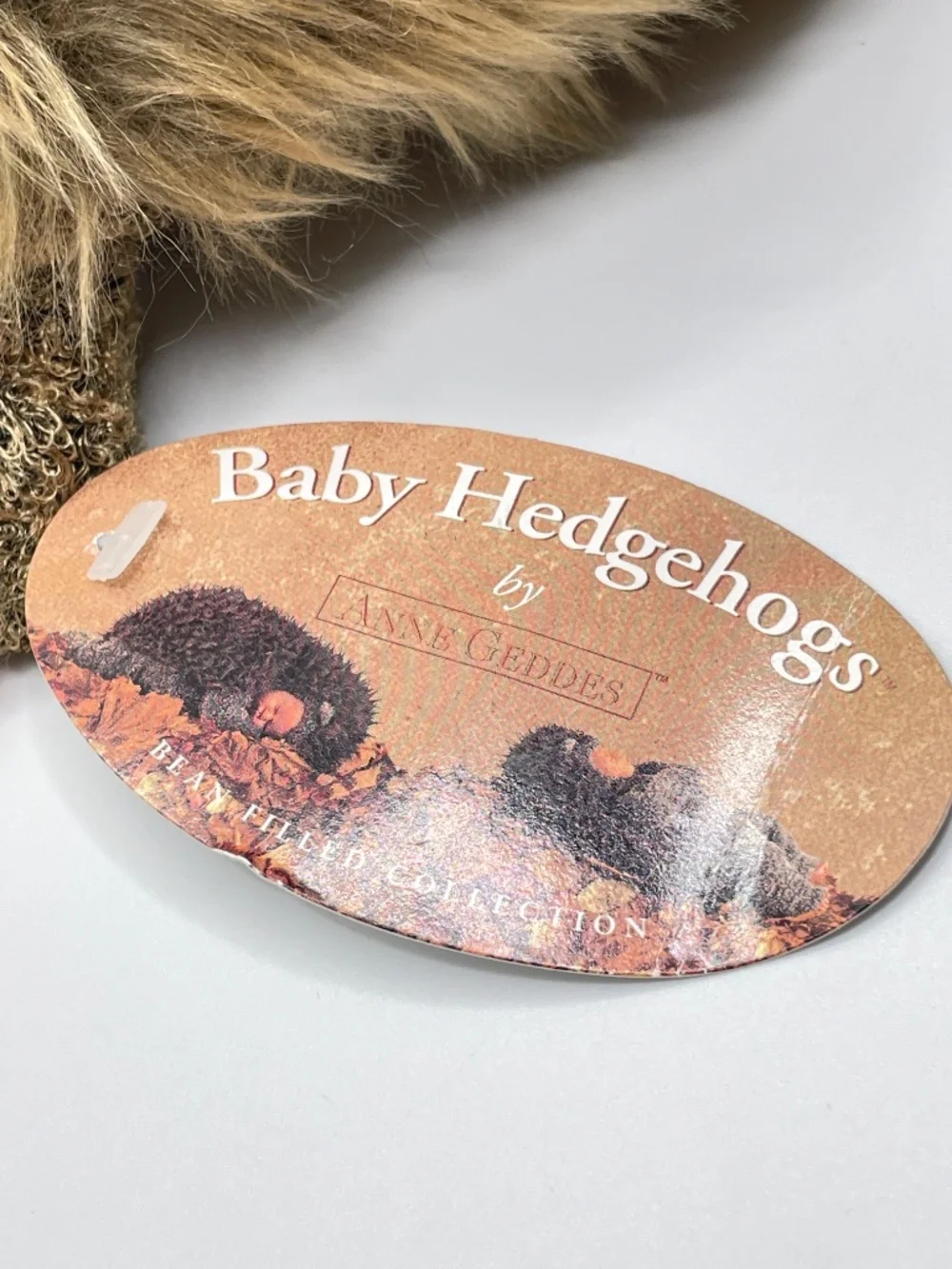 90's Anne Geddes Baby Hedgehog 9